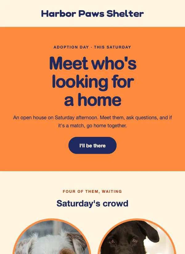 Adoption Day - Meet Them email template
