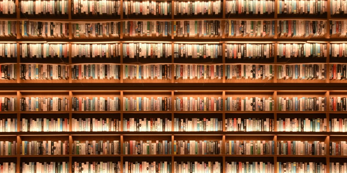 A wall of shelves filled with books, lit from above