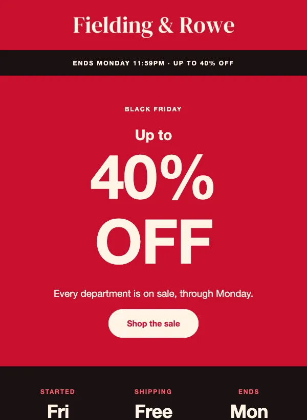 Black Friday - Countdown email template