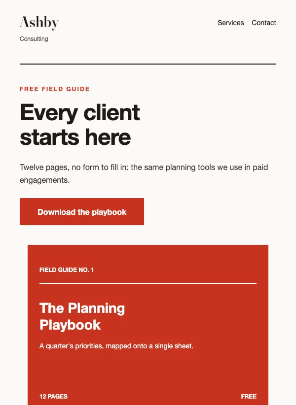 Lead Magnet - Consulting email template