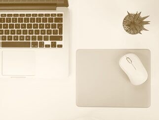 A tidy desk with a laptop, a mouse and a plant
