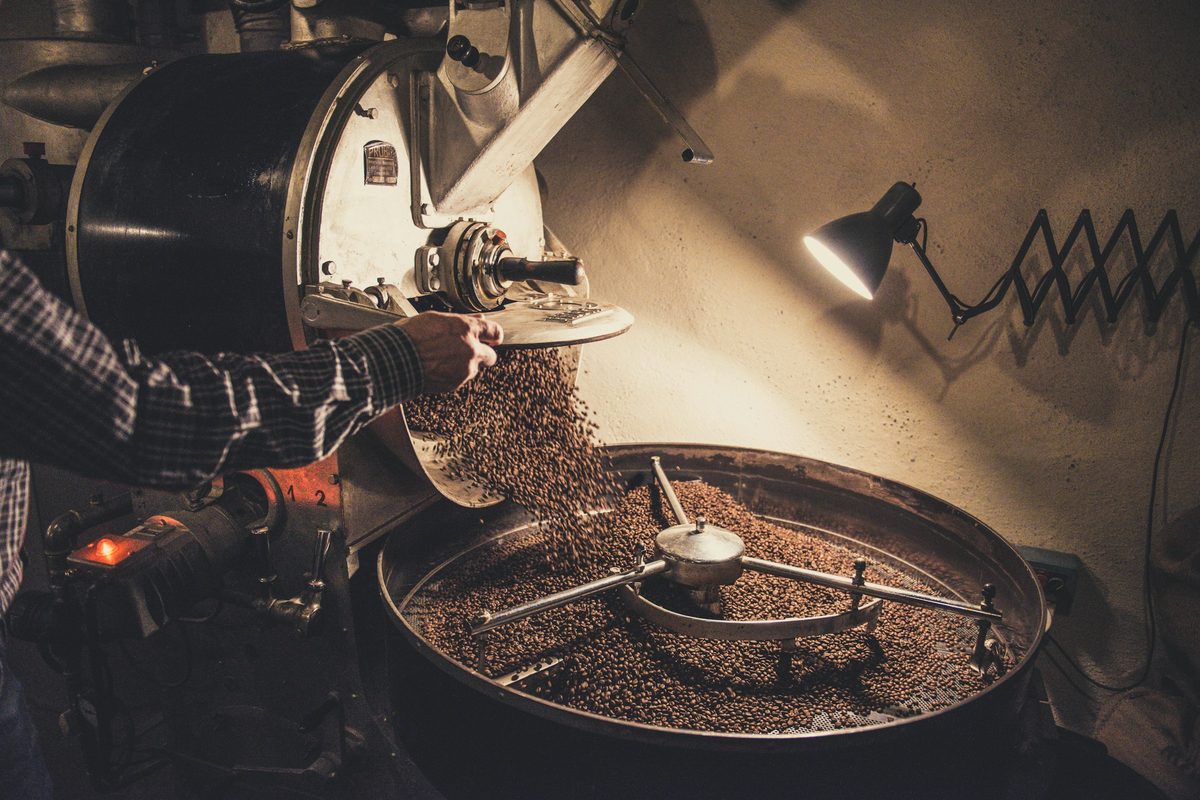 A roaster tipping fresh beans into a cooling tray under a warm lamp
