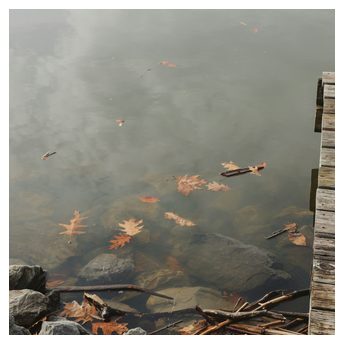 Frame 006, leaves by the dock