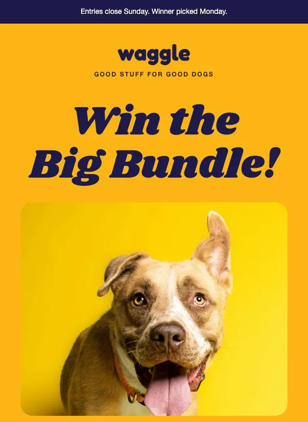 Giveaway - The Big Bundle email template