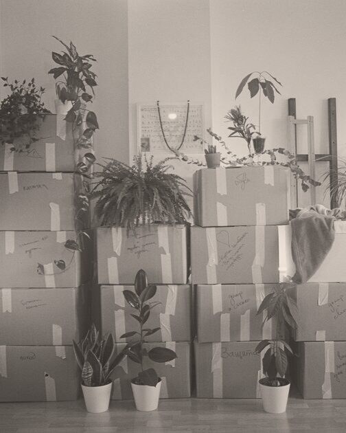 A room stacked with moving boxes and plants