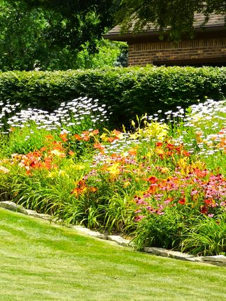 A freshly edged flower bed full of bright blooms