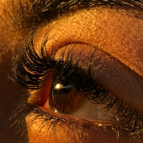 A close-up of a lifted, curled lash line
