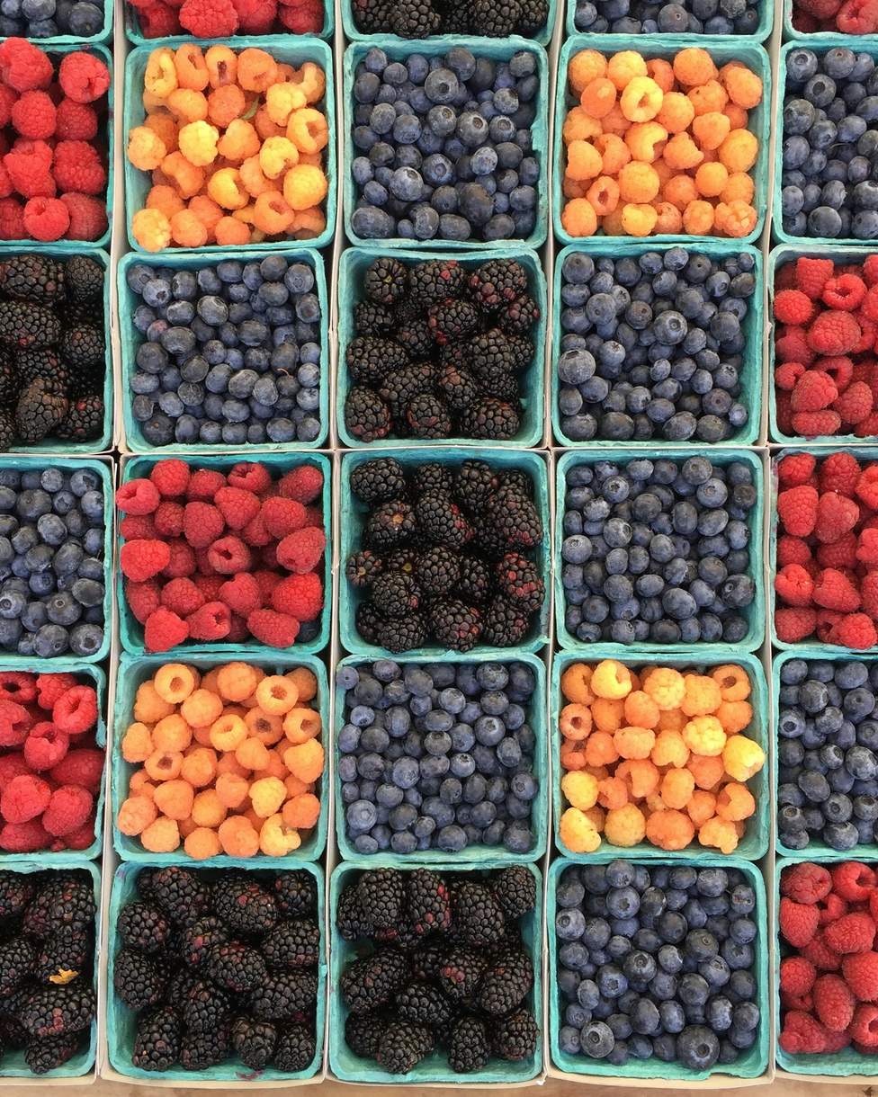 Rows of berry baskets: raspberries, blackberries, blueberries and apricots