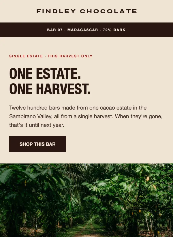 Chocolate Origin - Single Estate email template