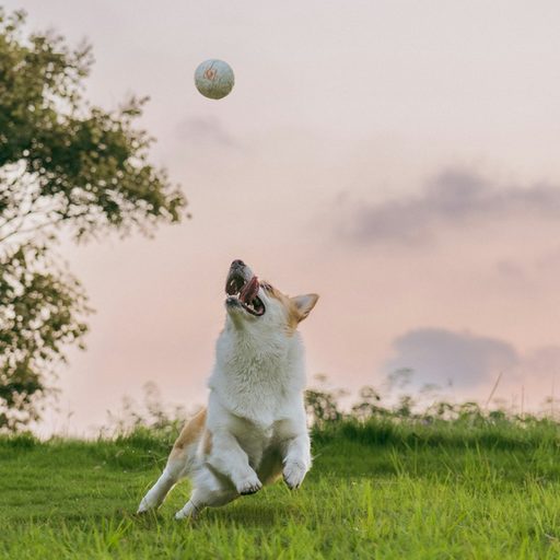 A white dog leaping for a ball in a green park