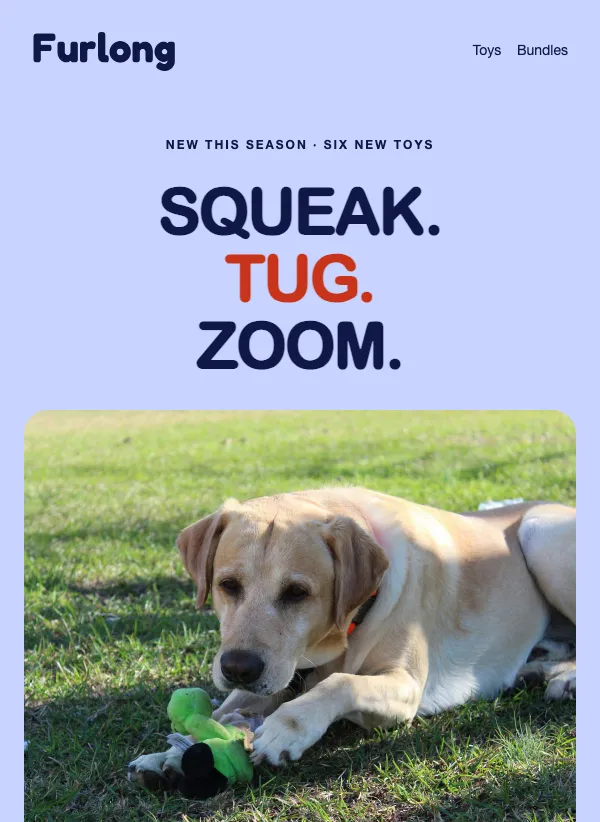 Pet Toys - Playtime email template
