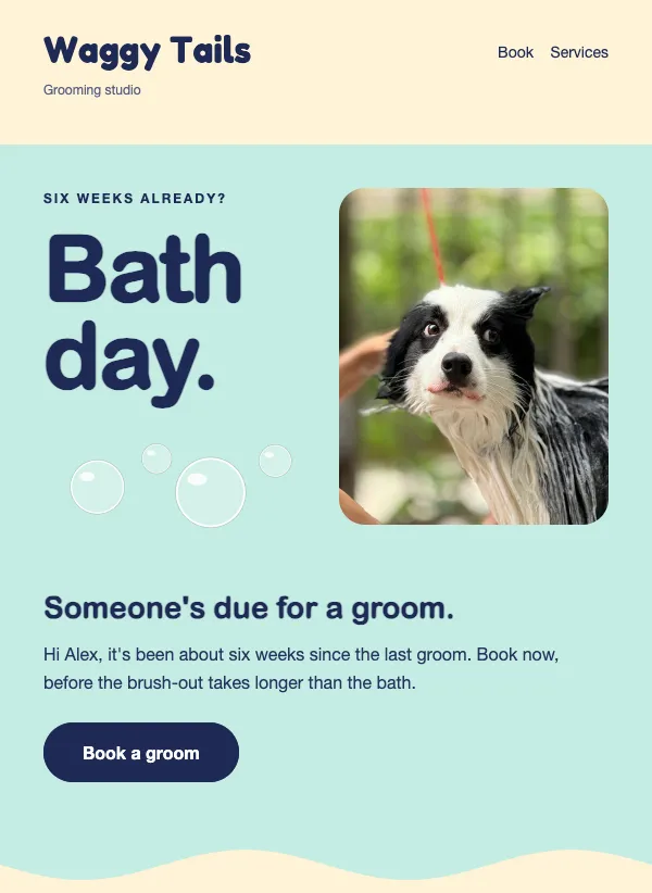 Rebook Reminder - Pet Grooming email template