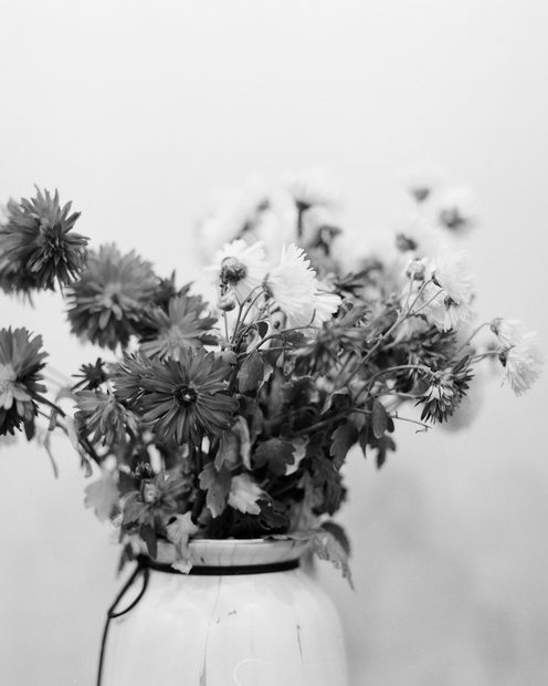 A loose bunch of garden flowers in a white jug against a pale wall