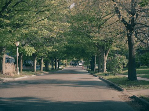 A quiet tree-lined residential street in Fairview Ridge