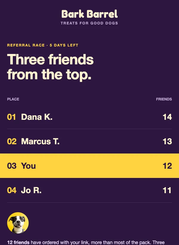 Referral Race - Standings email template