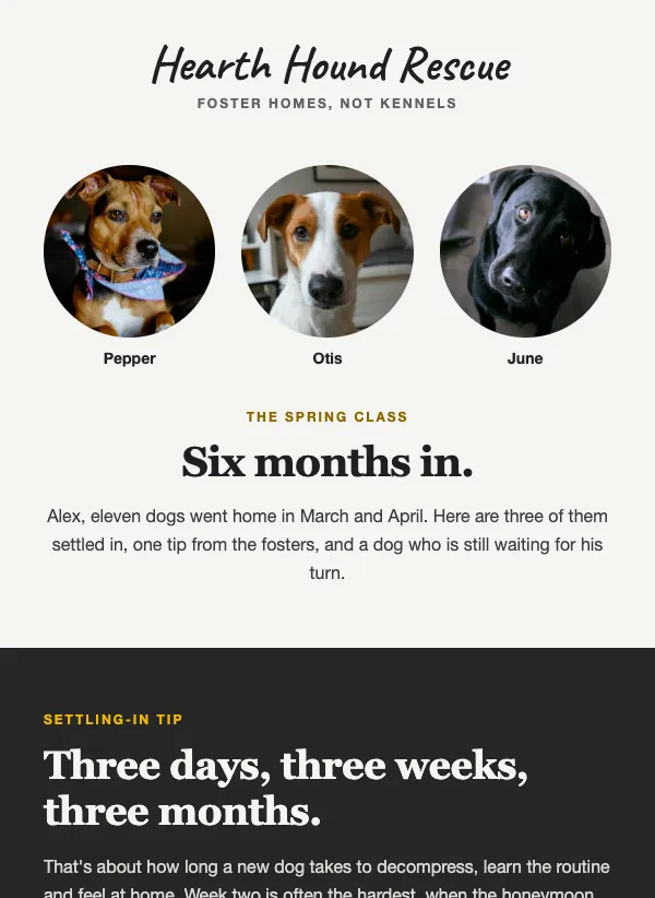Adopter Newsletter - Rescue email template
