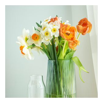 Tulips and daffodils in a glass vase by a window