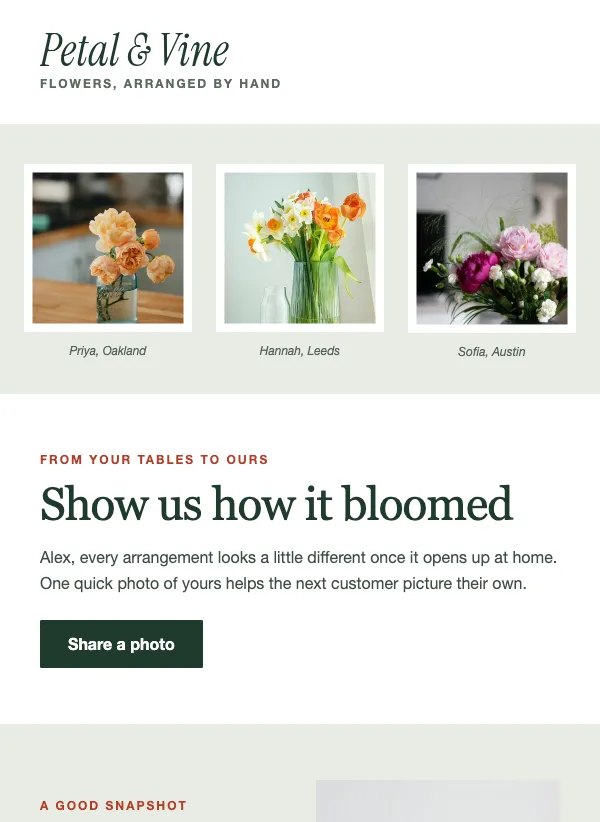 Photo Review Request - Snapshots email template