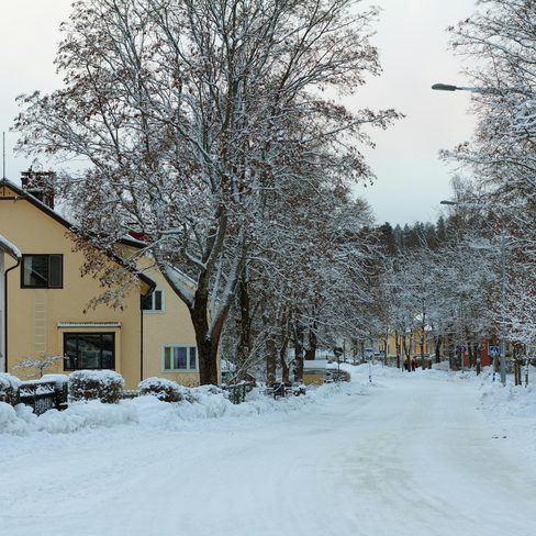 A quiet street after the first snow