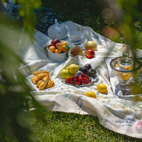 A picnic spread on a blanket in the grass