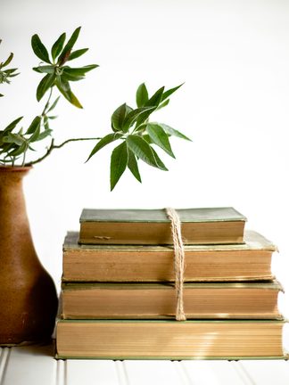 A stack of old cloth-bound books tied with string beside a plant