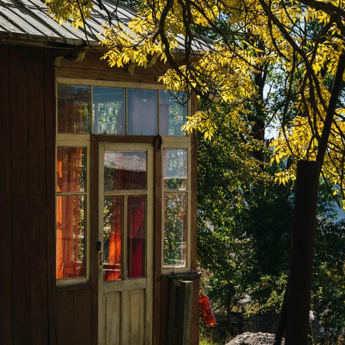 A wooden cottage under yellow autumn trees