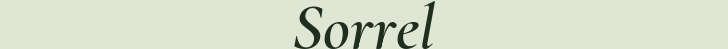 Sorrel
