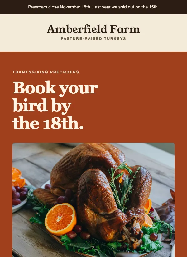 Thanksgiving Preorder - Terracotta email template