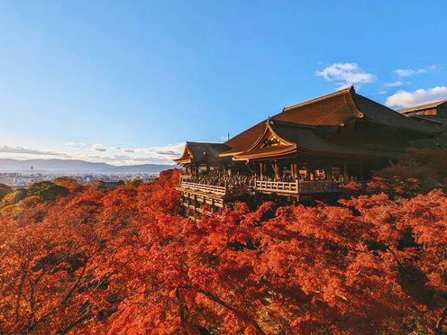 Red maples at a Kyoto temple