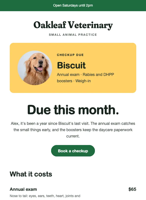Checkup Reminder - Vet email template
