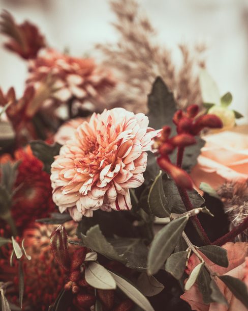 A close arrangement of peach dahlias and dried grasses