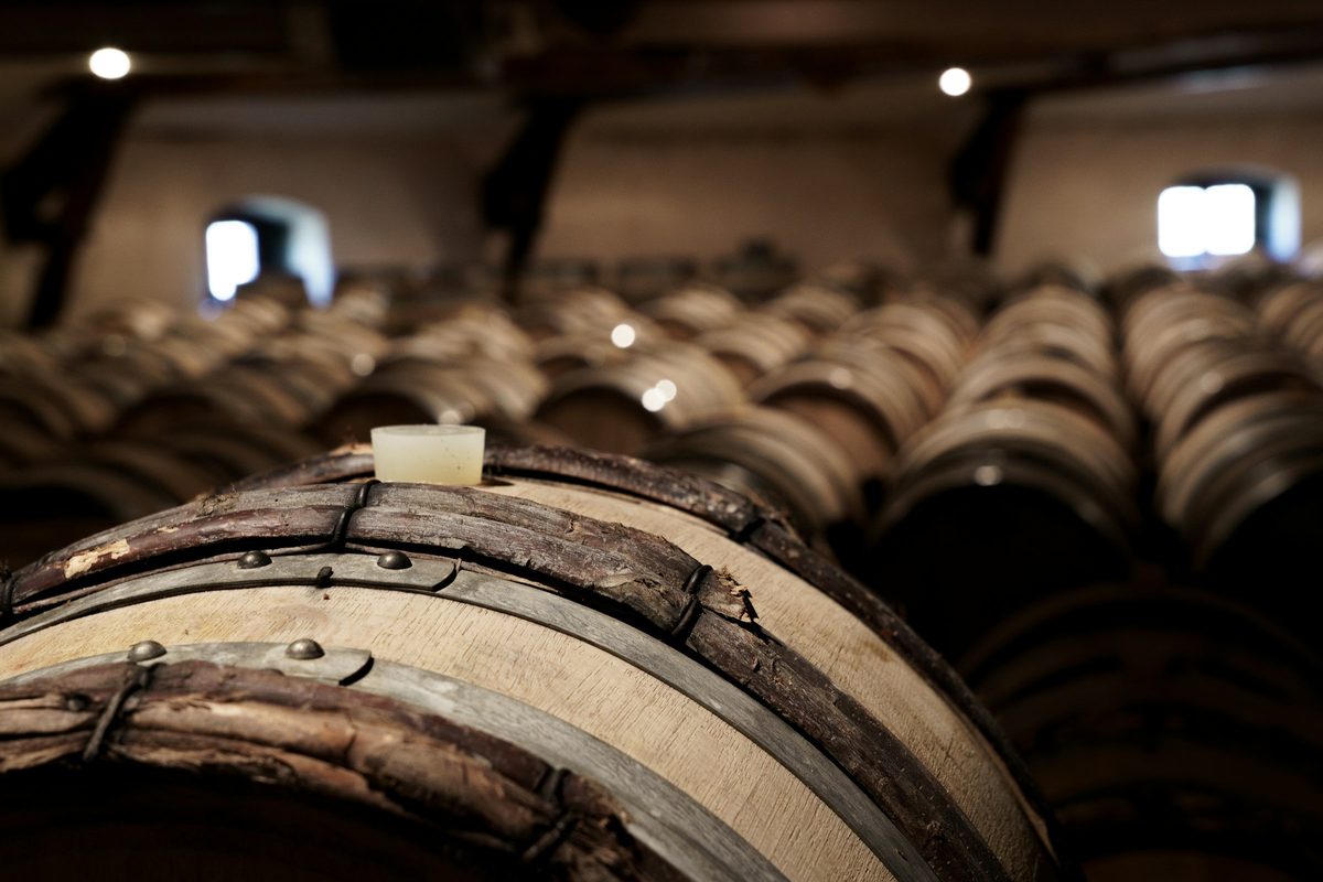 Rows of oak barrels in a long arched cellar