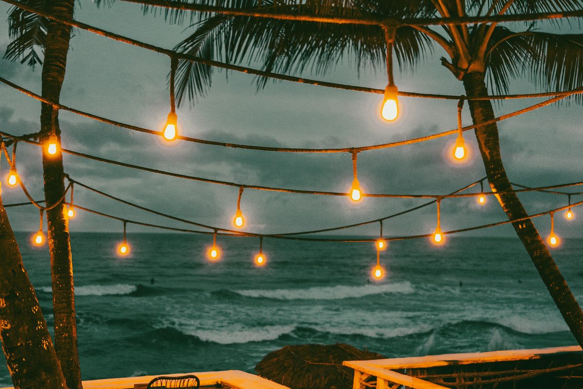 String lights between palm trees above the sea at dusk